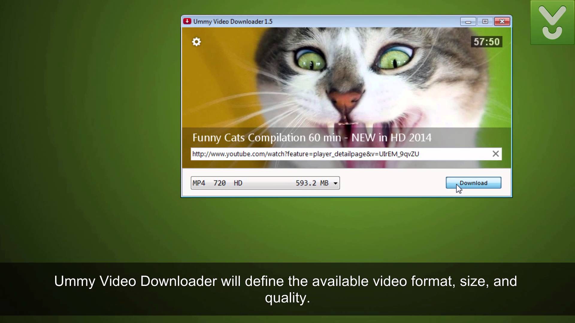 ummy video downloader for pc
